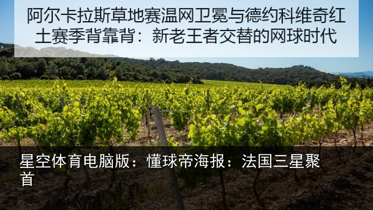 星空体育电脑版：懂球相关情况首