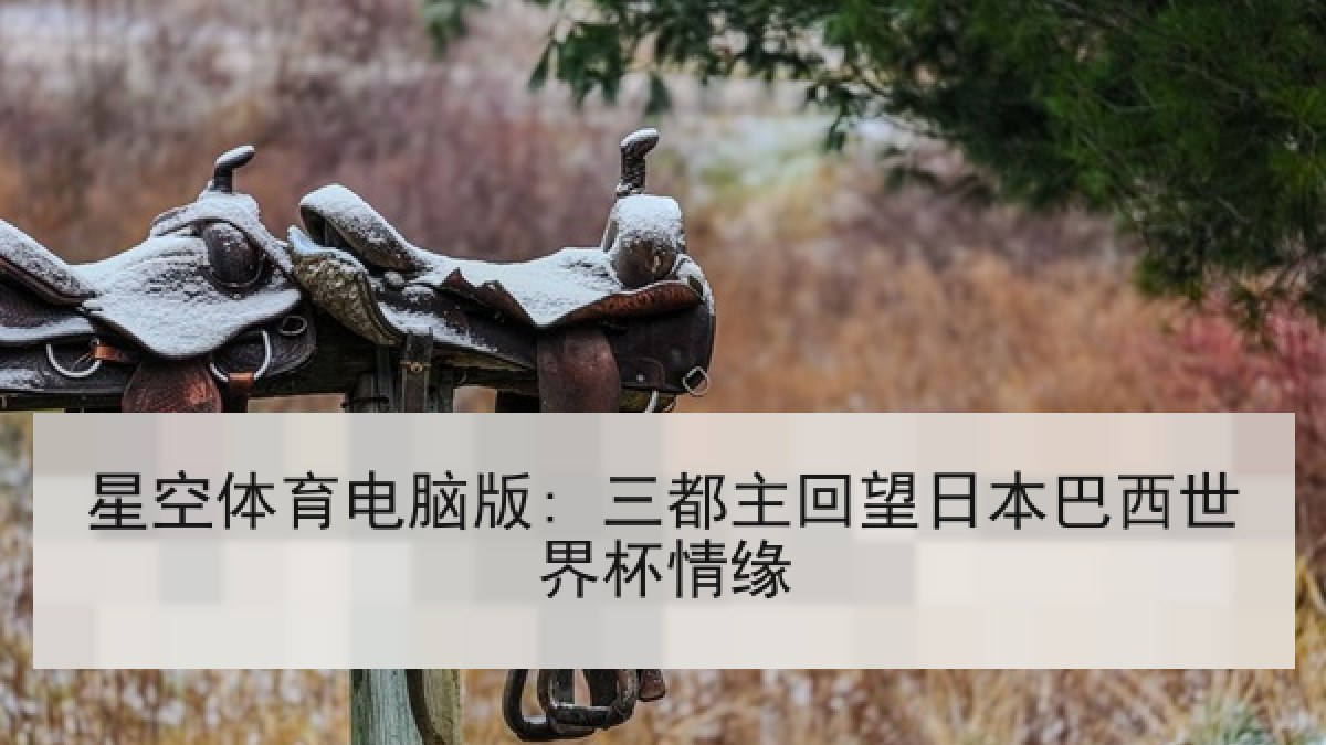 星空体育电脑版: 三都主回望日本巴西世界杯情缘