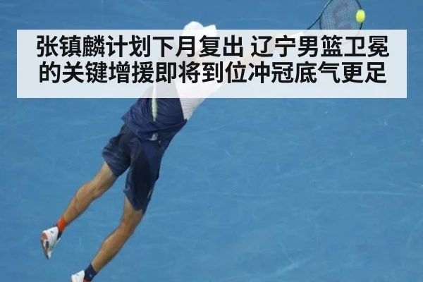 张镇麟计划下月复出 辽宁男篮卫冕的关键增援即将到位冲冠底气更足